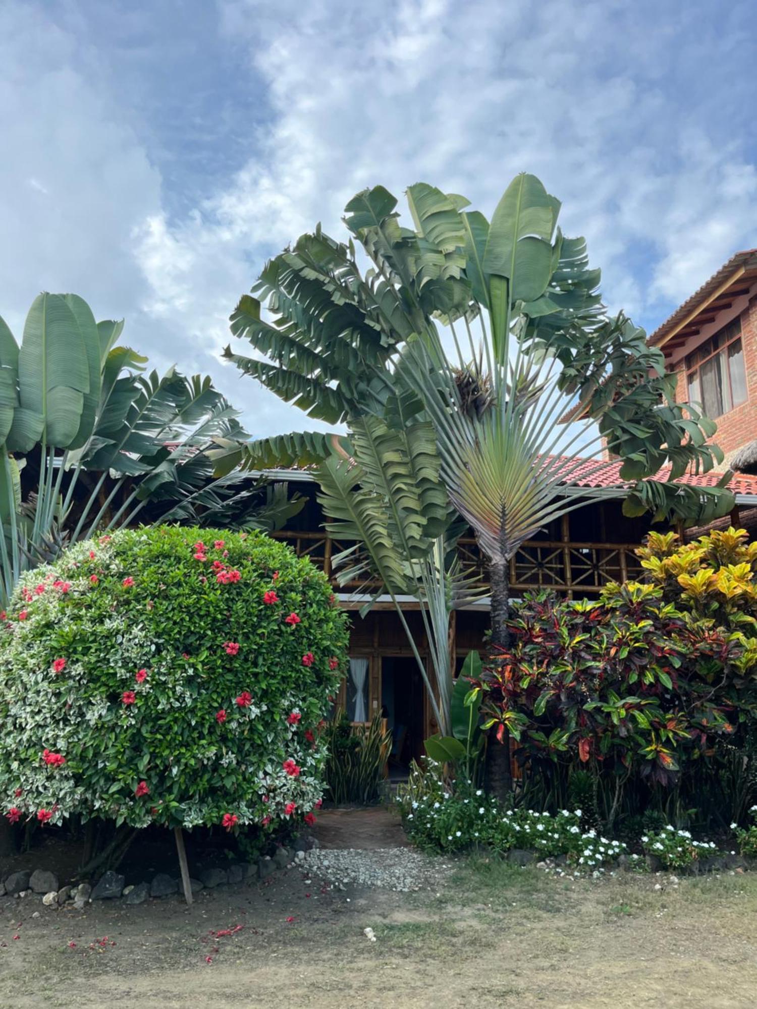 Victor Hugo Hotel Puerto López Eksteriør bilde
